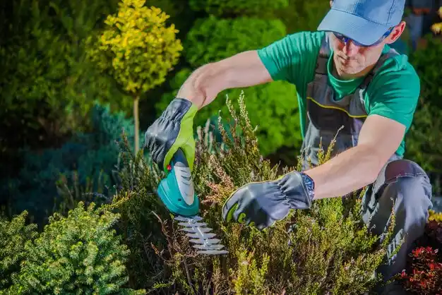 landscaping services St. Regis Falls